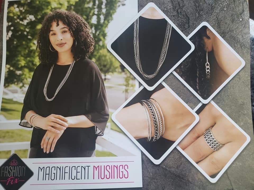 Magnificent Musings Silver Complete Trend Blend Fashion Fix Set (July 2019) - Paparazzi Accessories