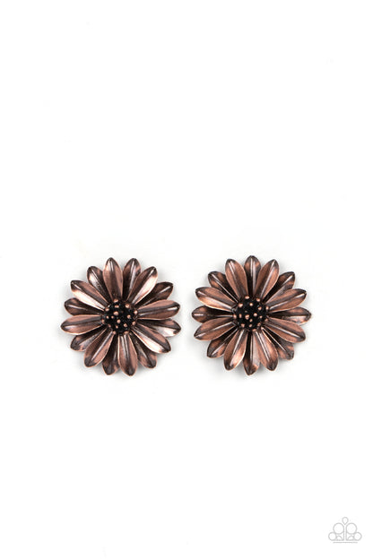 Daisy Dilemma Copper Post Earring - Paparazzi Accessories  Layers of burnished copper petals flare out from a copper studded center, blooming into a rustic floral fantasy. Earring attaches to a standard post fitting.  Sold as one pair of post earrings.